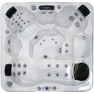 Avalon EC-849L hot tubs for sale in West Field